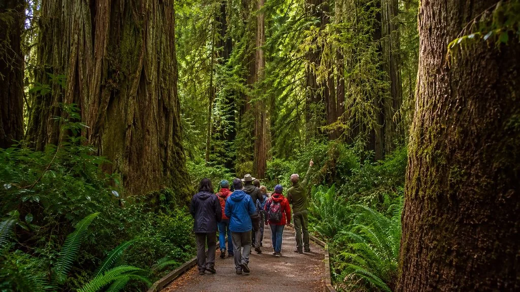 Vancouver: Capilano & Grouse Mountain Small-Group Tour