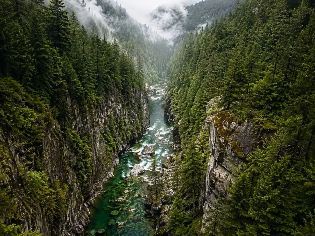 The Capilano River in the canyon under the bridge